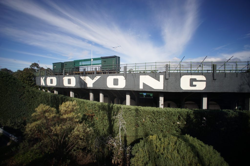 Kooyong 3144